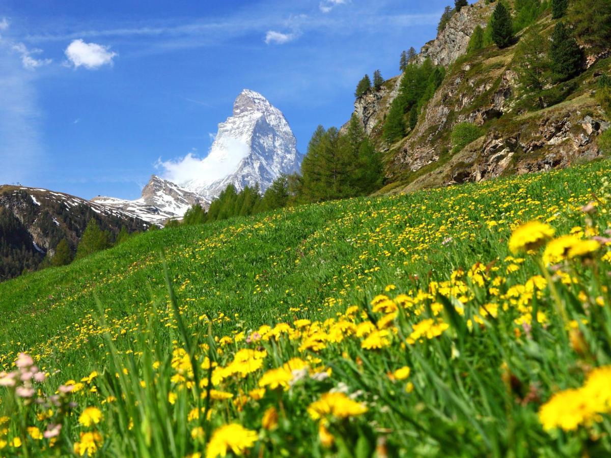 Apartment Grillon-3 By Interhome Zermatt Esterno foto
