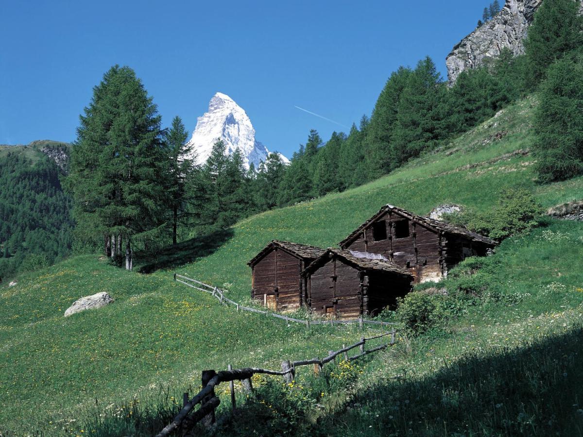 Apartment Grillon-3 By Interhome Zermatt Esterno foto